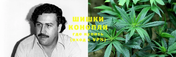 трава Иннополис