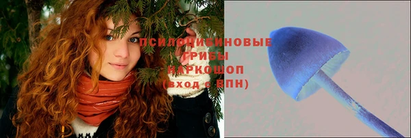 МДМА Инсар