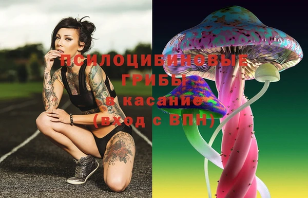 МДМА Инсар