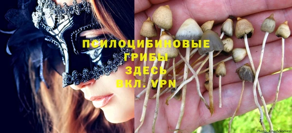 МДМА Инсар