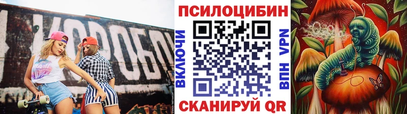 Купить где  Давлеканово  Псилоцибиновые грибы мицелий 