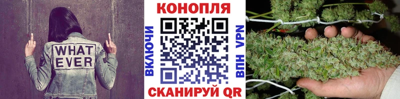 Купить где Давлеканово Бошки Шишки гибрид